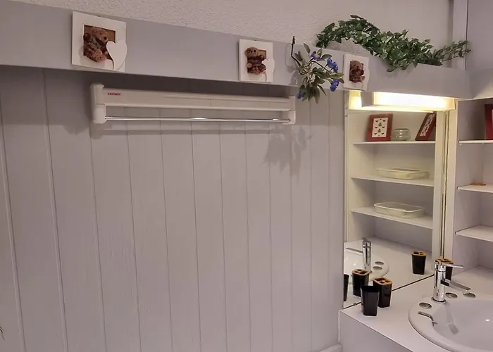 公寓 Lumineux Ski-in/ski-out, 3/4 Pers, Vue Pistes - Fr-1-181-2595 *