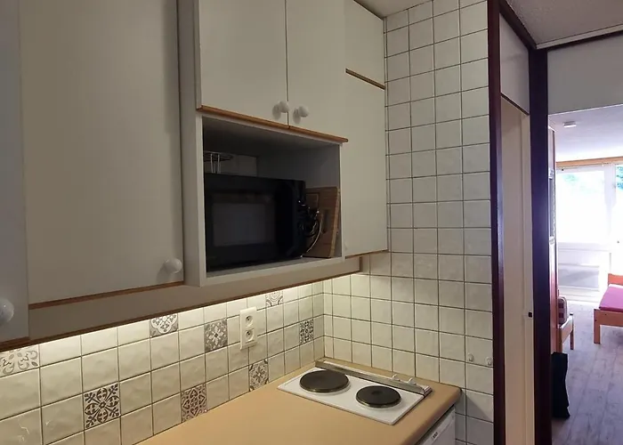 Lumineux Ski-in/ski-out, 3/4 Pers, Vue Pistes - Fr-1-181-2595 Apartment *